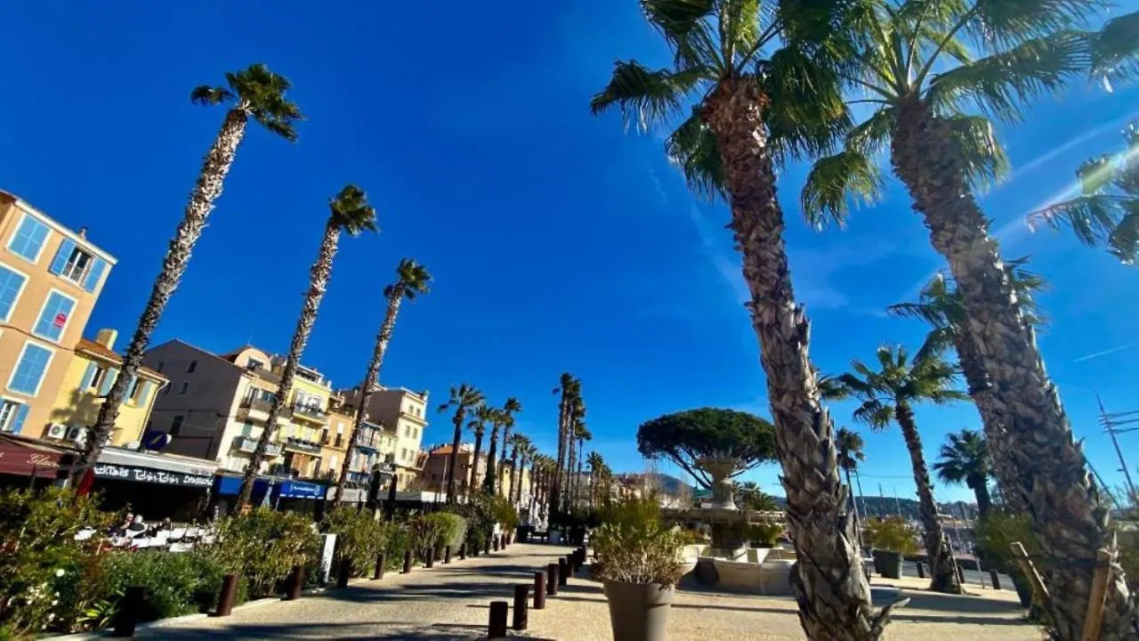 Vue Mer Exceptionnelle - Grande Terrasse Et Piscine Bandol