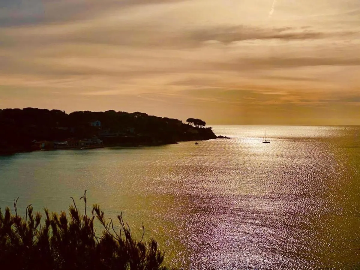 Apartment Vue Mer Exceptionnelle - Grande Terrasse Et Piscine Bandol